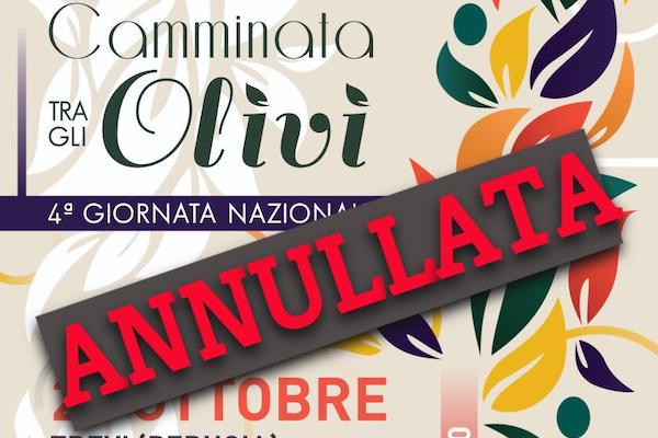 Camminata tra gli olivi