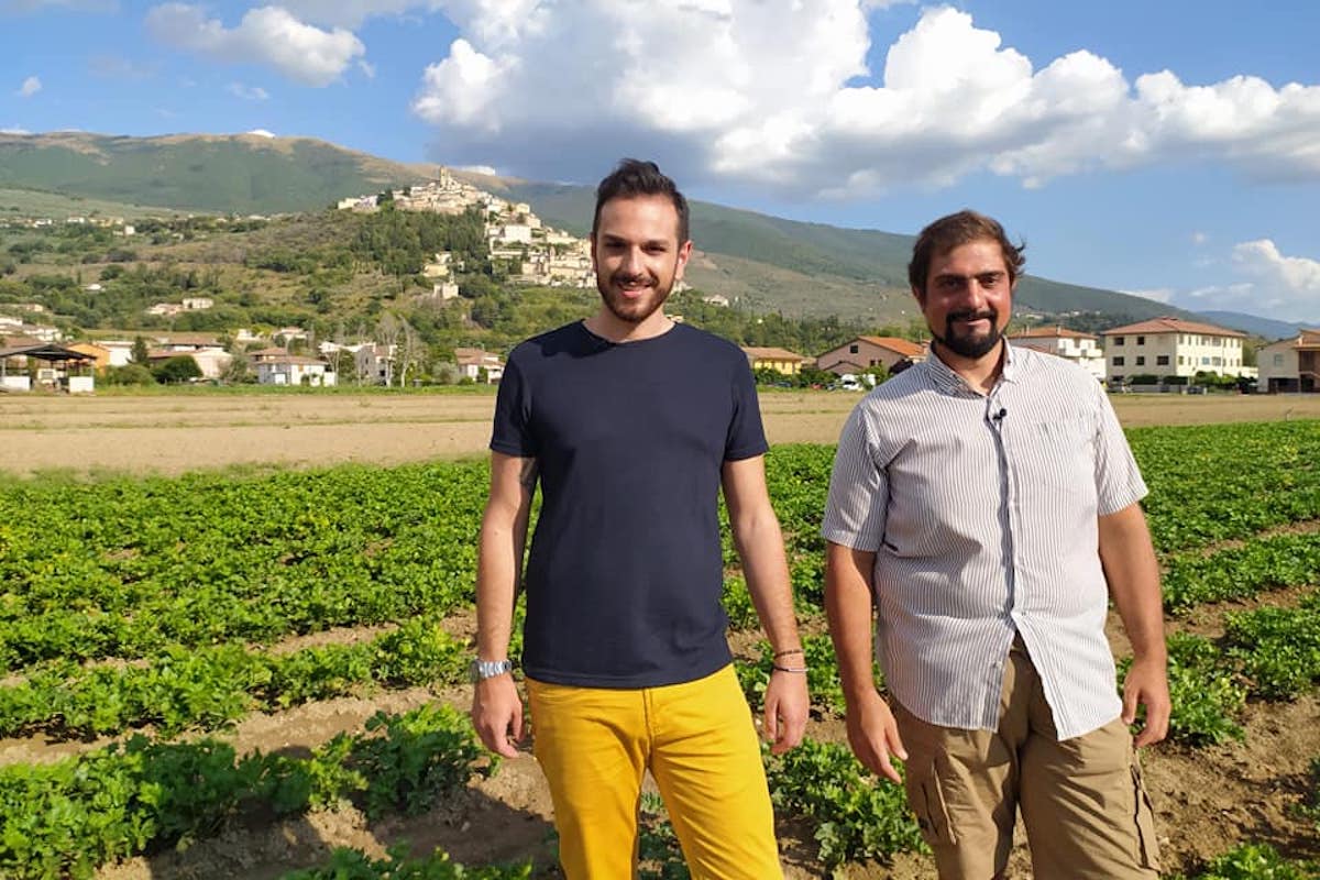 Una gita fuori porta